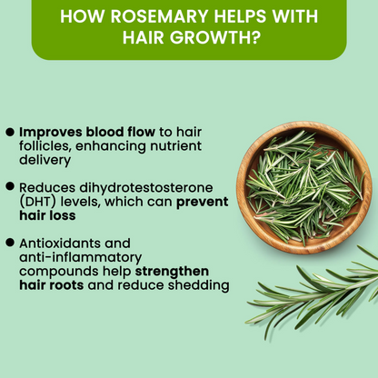 Rosemary Water Spray for Hair Growth & Thickness | Natural Herbal Hair Tonic for Men & Women | Anti Hair Fall & Scalp Care Mist – 100ml